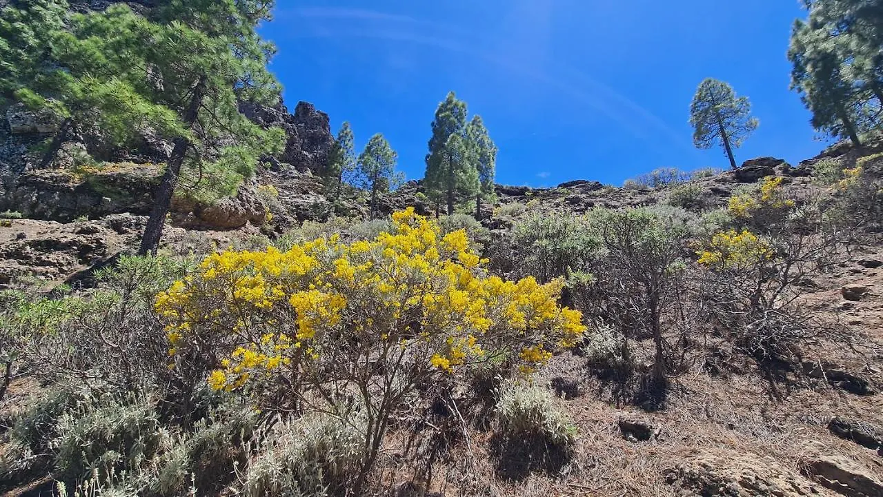 Apartment Puerto Rico Top Teide And Amadores View
